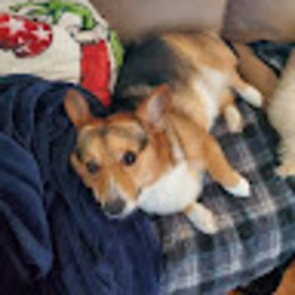 Meet your Posher, Emma